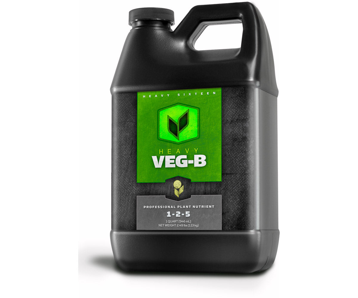 Heavy 16 Veg B Quart