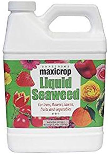 Maxi Crop Fertilizer, Liquid Seaweed, 0-0-1, Qt