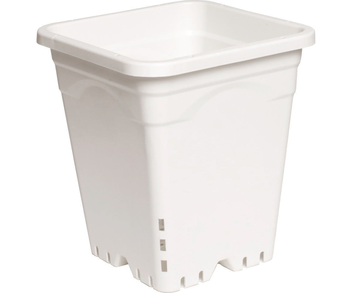 Active Aqua 7" x 7" Square White Pot, 9" Tall