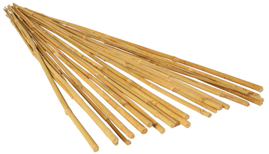 GROW!T 3' Bamboo Stakes, Natural, pack of 25