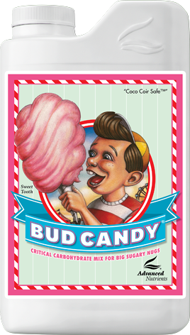 Bud Candy 1L