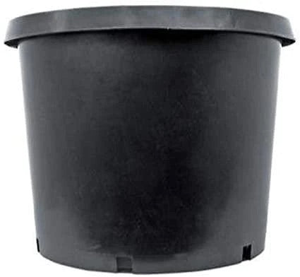 Pro Cal Premium Nursery Pot, 10 gal