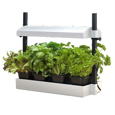 SunBlaster™ T5HO Micro Growlight Garden - White - 21in W x 8.5in H x 5.25in Deep - 11W High Output Light - 10,000 Hours