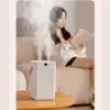 Humidifiers 3L Air Humidifier High-capacity Double Spray Aroma Diffuser With Humidity Display Cool Mist For Home Plants