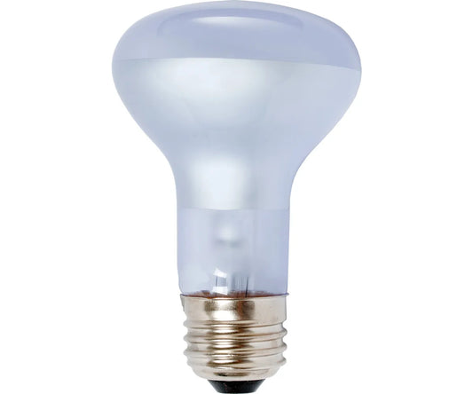 Agrosun Dayspot Incandescent Bulb, 60W