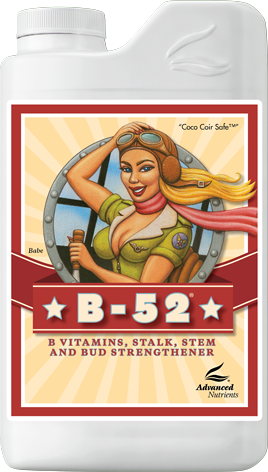 Advanced Nutrients B-52 1L