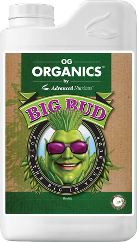 OG Organics™ Big Bud® 1 pint