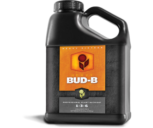 Heavy 16 - Bud B Gallon