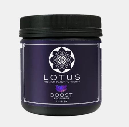 Lotus Boost 16oz