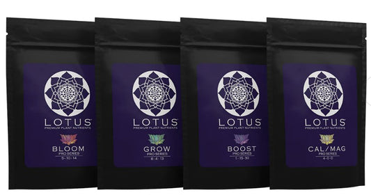 Lotus Pro Series Sample Packs